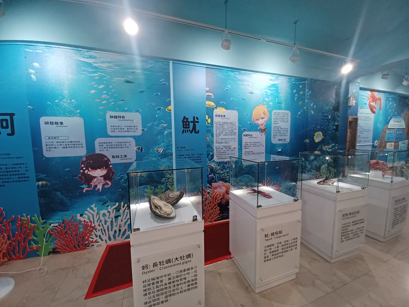 卡卡觀光工廠海洋主題展示區